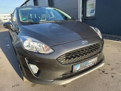 Usata Ford Fiesta Active 120 CV (88 kW) 2018 Utilitaria