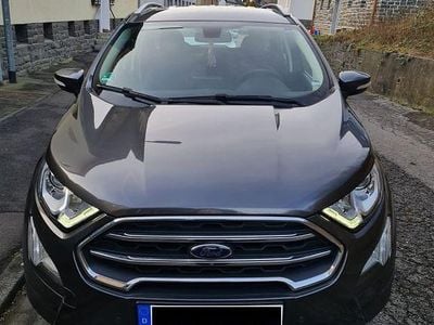 Gebraucht Ford Ecosport Titanium 125 PS (91 kW) 2019 Grau SUV