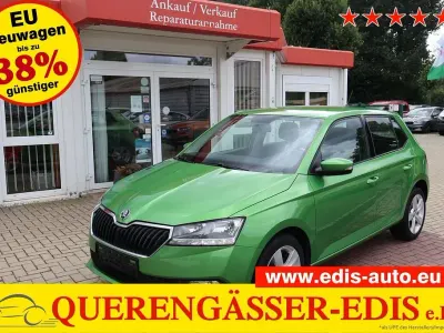 Gebraucht Skoda Fabia 60 PS (44 kW) 2019 Grün Kleinwagen