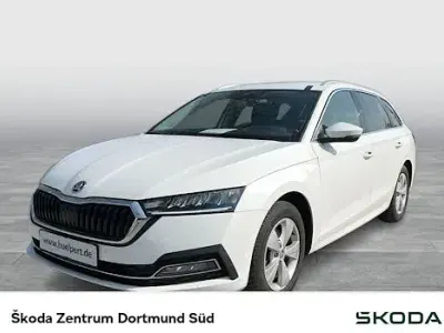 Gebraucht Skoda Octavia