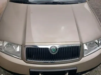 Brugt Skoda Fabia