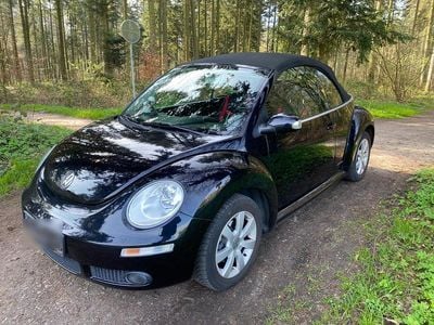 VW Beetle