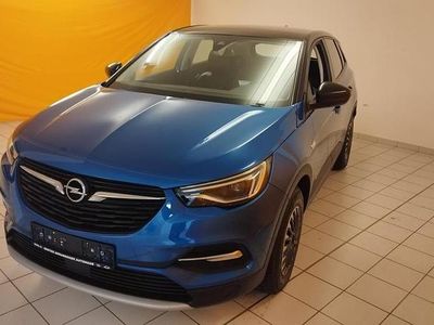 Gebraucht Opel Grandland X 131 PS (96 kW) 2021 Blau SUV