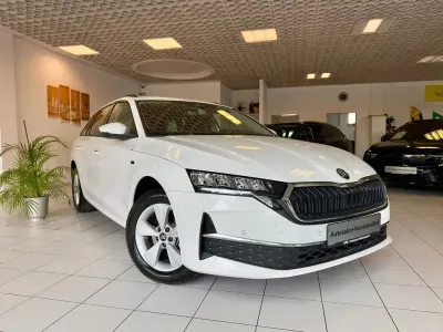 Gebraucht Skoda Octavia Tour 150 PS (110 kW) 2026 Bila candy/candyweiss Kombi