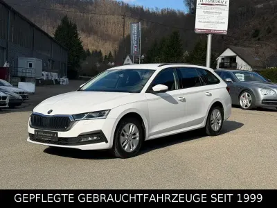 Gebraucht Skoda Octavia Ambition 150 PS (110 kW) 2024 Weiß Kombi