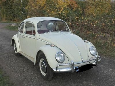 Weiß Gebraucht 1966 VW Käfer Kleinwagen | 14.000 €