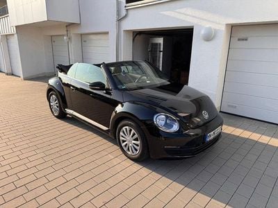 VW Beetle