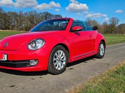 VW Beetle