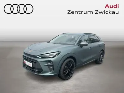 Gebraucht Cupra Terramar Limited Edition 265 PS (194 kW) 2025 Grau SUV