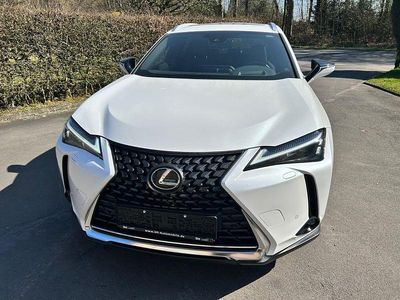 Gebraucht Lexus UX 250h Sport Design Packet 184 PS (135 kW) 2023 Weiß SUV