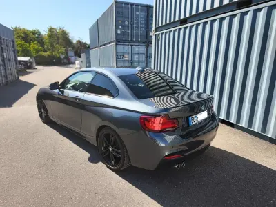 Gebraucht BMW 220 M Sport 184 PS (135 kW) 2019 Grau Coupé