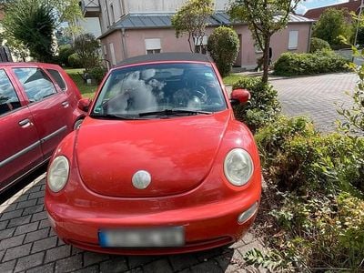 VW Beetle