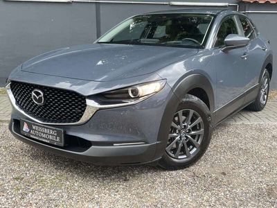 gebraucht Mazda CX-30 2,0 SKYACTIV-G M Hybrid Selection 2WD