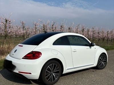 VW Beetle