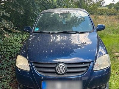 VW Fox