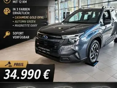 Gebraucht Subaru Forester