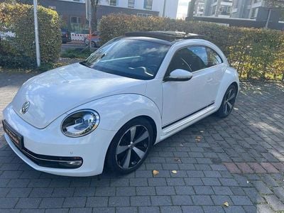 VW Beetle