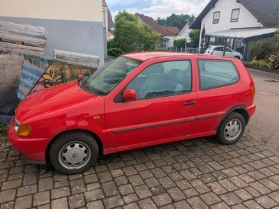 VW Polo