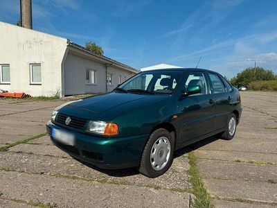 VW Polo