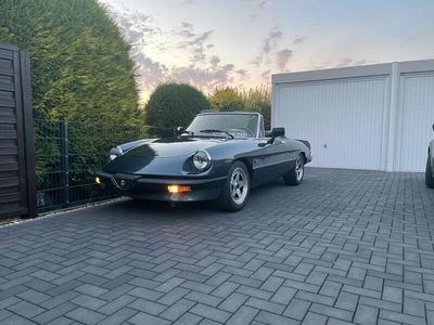 gebraucht Alfa Romeo Spider 1600