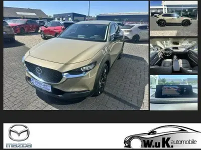 Gebraucht Mazda CX-30 Homura-Line 140 PS (102 kW) 2025 Beige SUV