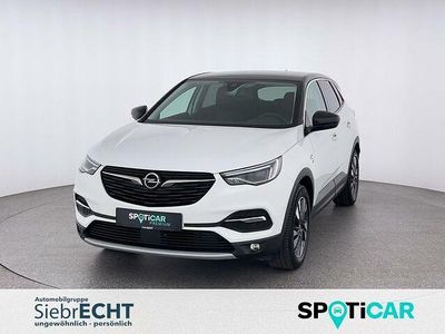 Gebraucht Opel Grandland X 131 PS (96 kW) 2019 Othercolor SUV