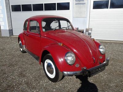VW Käfer