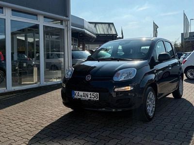 Neu Fiat Panda Icon 69 PS (50 kW) 2025 Schwarz Kleinwagen