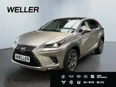 Gebraucht Lexus NX300h E-FOUR Executive Line 197 PS (144 kW) 2018 Grau SUV