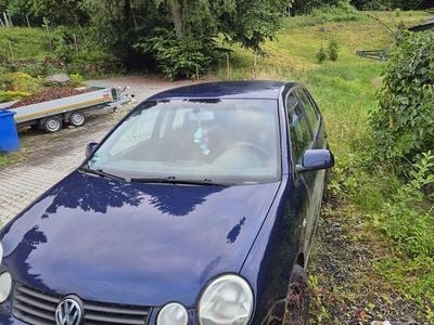 VW Polo