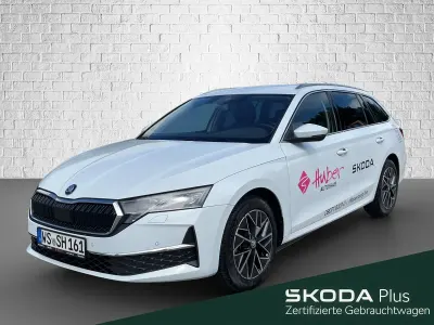 Gebraucht Skoda Octavia Selection 150 PS (110 kW) 2024 Weiß Kombi