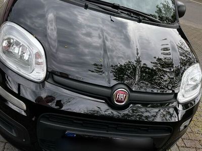 gebraucht Fiat Panda 1.0 GSE Hybrid CITY PLUS CITY PLUS