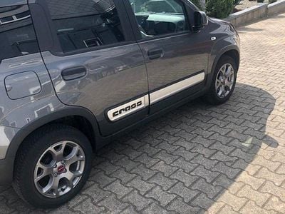 Usata Fiat Panda Cross Cross 70 CV (51 kW) 2021 Grigio Utilitaria