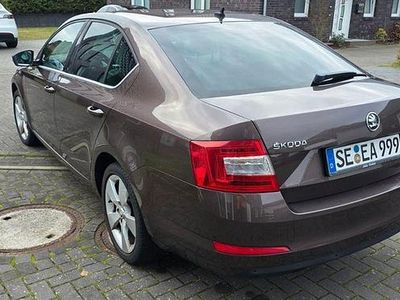 Braun Gebraucht 2013 Skoda Octavia Elegance Limousine | 8.800 € (Etwas zu teuer)
