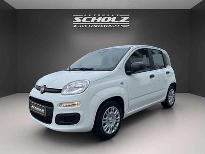 Nouă Fiat Panda Icon 65 CP (47 kW) 2026 Alb Hatchback