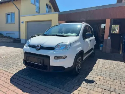 Gebraucht Fiat Panda