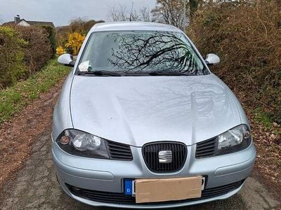 Usata Seat Ibiza Reference 75 CV (55 kW) 2005 Argento Utilitaria