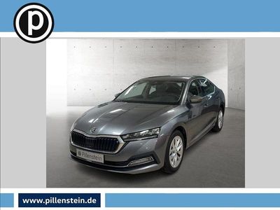 Gebraucht Skoda Octavia Style 110 PS (80 kW) 2023 Grau Limousine