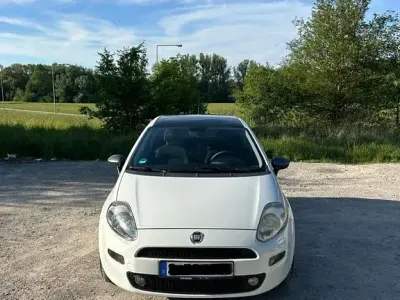 Gebraucht Fiat Punto Young 69 PS (50 kW) 2015 Weiß Kleinwagen