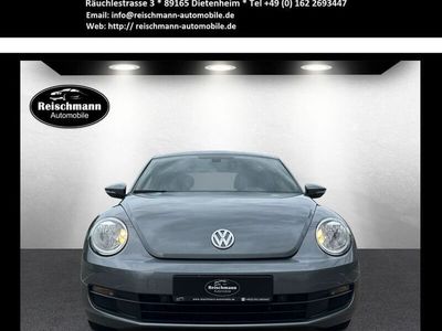 VW Beetle