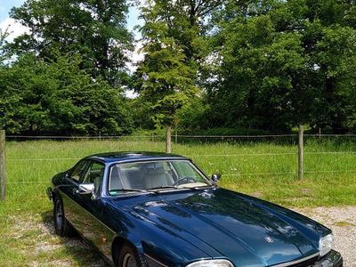 Gebraucht Jaguar XJS 222 PS (163 kW) 1992 Blau Coupé