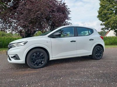 Gebraucht Dacia Sandero Comfort 73 PS (53 kW) 2020 Weiß Kleinwagen