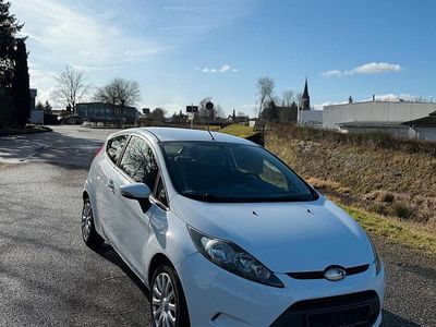 Gebraucht Ford Fiesta Trend 60 PS (44 kW) 2009 Weiß Kleinwagen