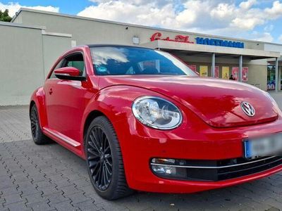 VW Beetle