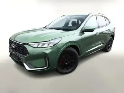 Gebraucht Ford Kuga ST-Line X 151 PS (111 kW) 2024 Bursting green metallic (metallic) SUV
