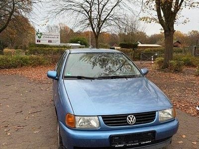 VW Polo