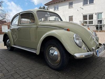 Occasion VW Käfer 30 PK (22 kW) 1959 Groen