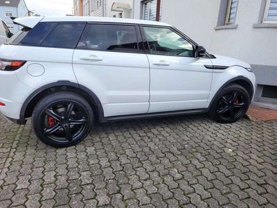 gebraucht Land Rover Range Rover evoque 5p 2.2 sd4 Dynamic 190cv