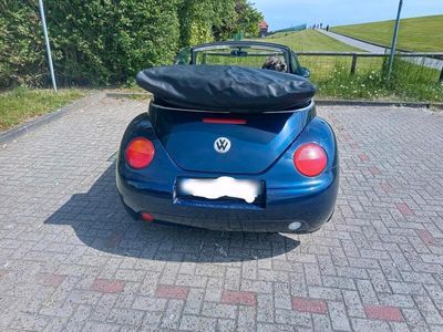 VW Beetle