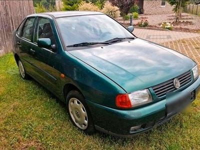 VW Polo